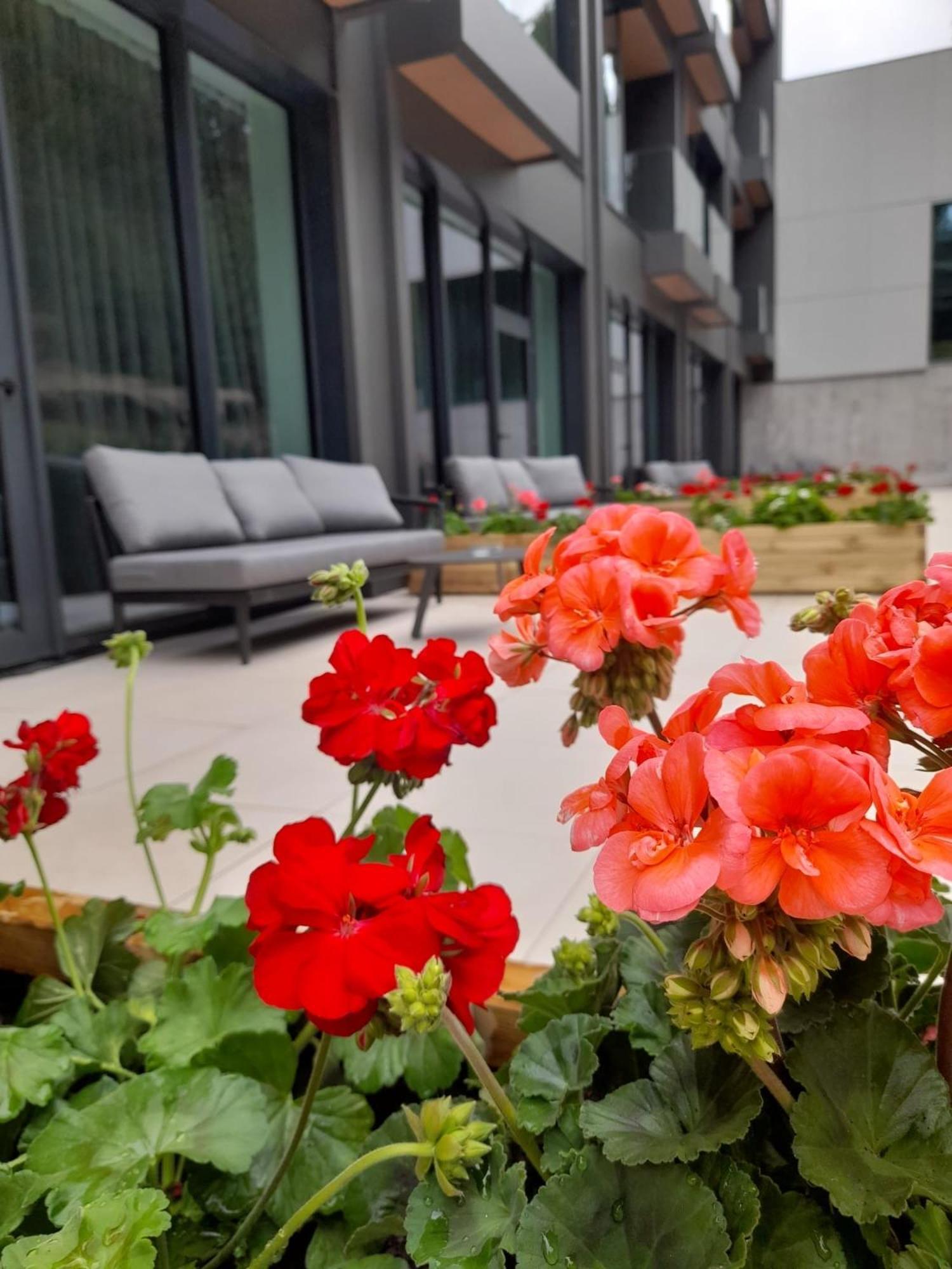 Hotel Pestera Wellness & Spa Moroeni Exterior foto